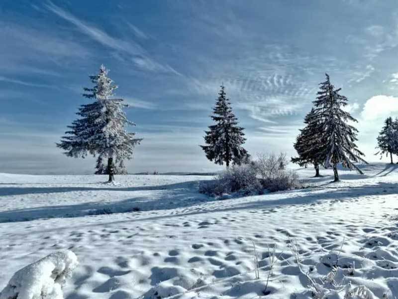 欧联杯决赛或成曼联赛季转折点